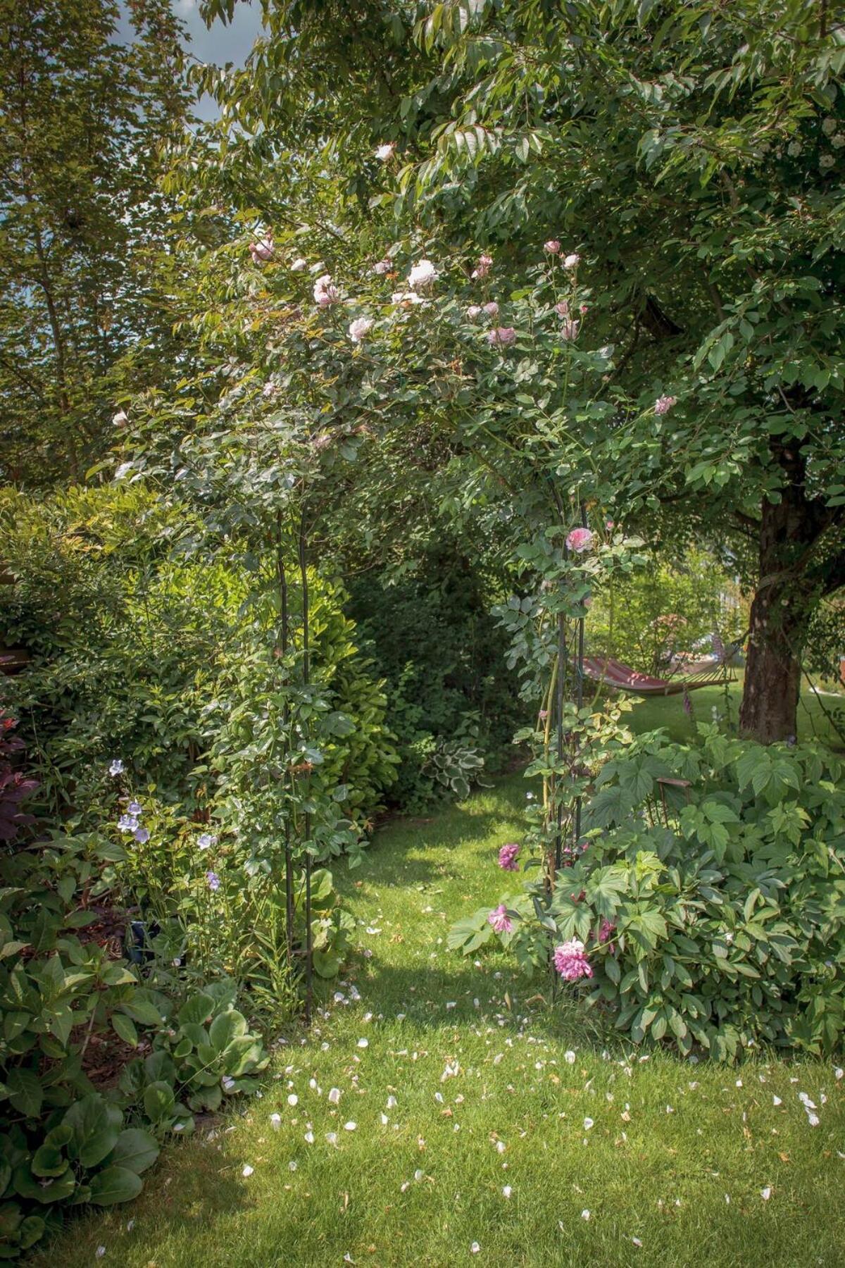 Apartment Homeport Hanover- Big House With Sauna And Garden Hannover