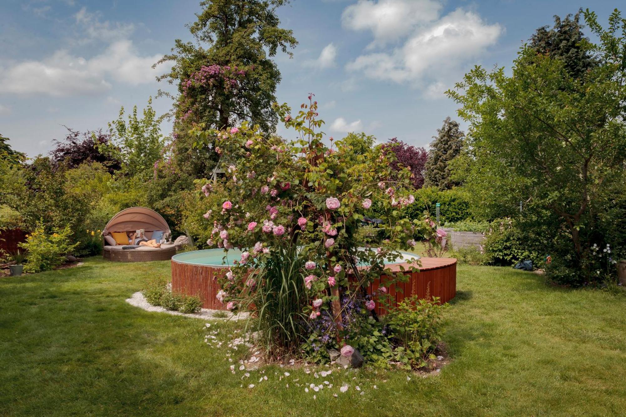 Homeport Hanover- Big House With Sauna And Garden Hannover